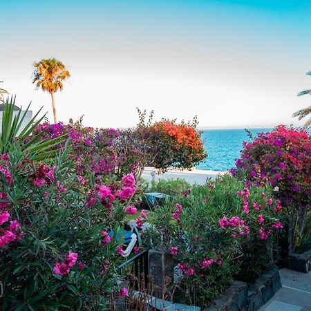 Apartamento En Las Flores I ماسبالوماس المظهر الخارجي الصورة