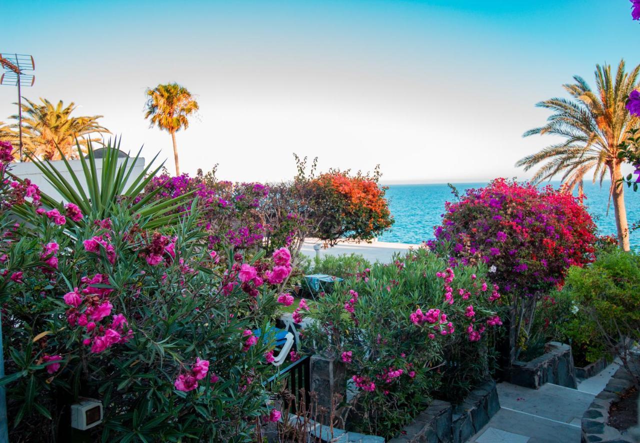 Apartamento En Las Flores I ماسبالوماس المظهر الخارجي الصورة
